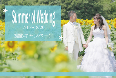 summer-thumb-960x651-7034_700x474.jpg