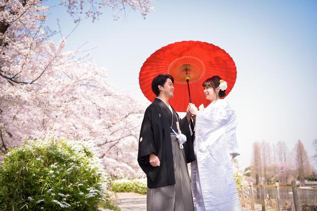 ご予約まだ間に合います！桜ロケーションフォト【上尾丸山公園】編