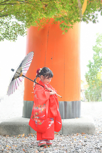 202511161200-033.jpgのサムネイル画像