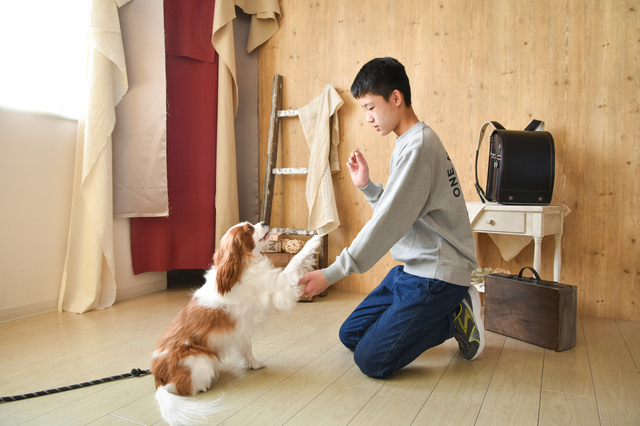 卒業・入学おめでとうございます☆彡上尾店