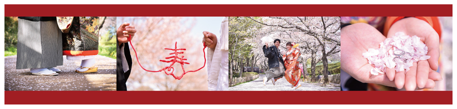 201903_SAKURA桜-02.jpg