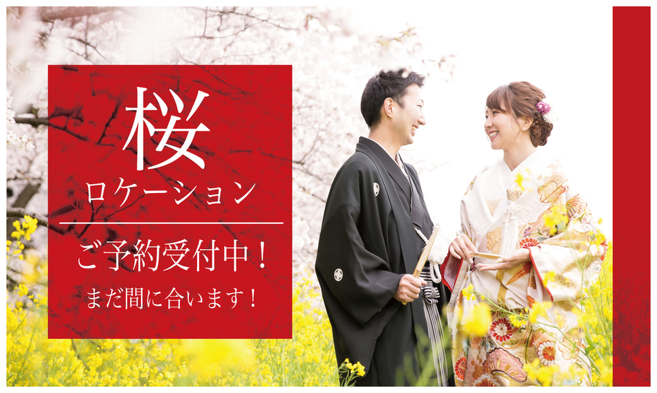 【¥15,000が無料!!】桜ロケーションフォトご予約まだ間に合います！